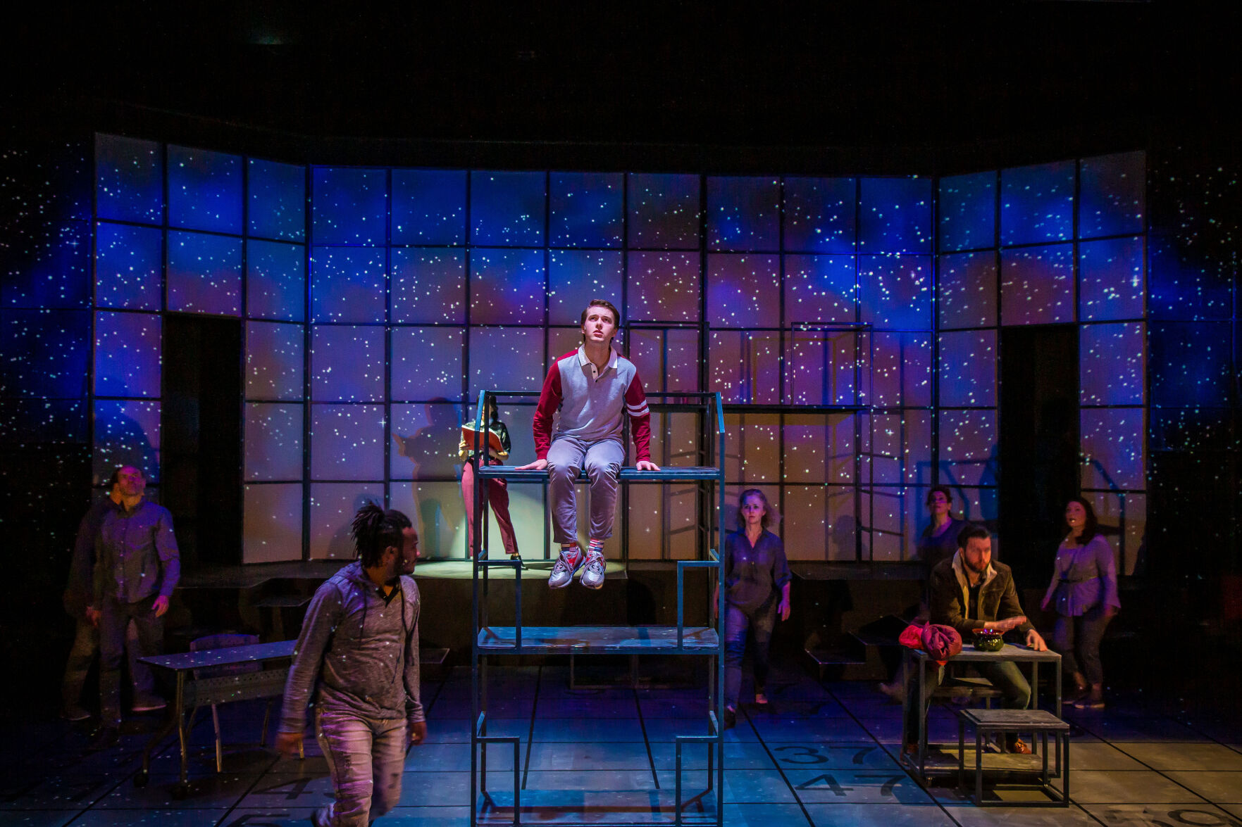 Curious Incident of the Dog in the Night-Time (copy)